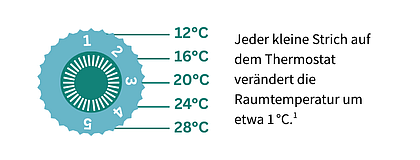 420x160 Thermostas